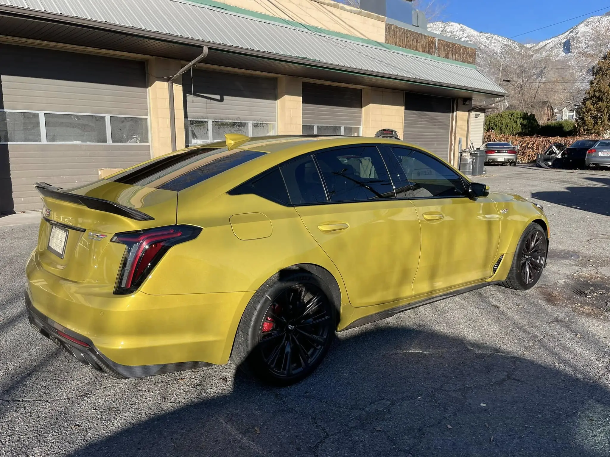 Cadillac CTS tint