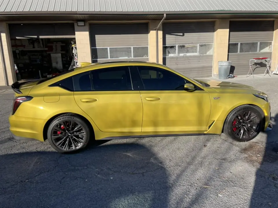 Cadillac CTS tint