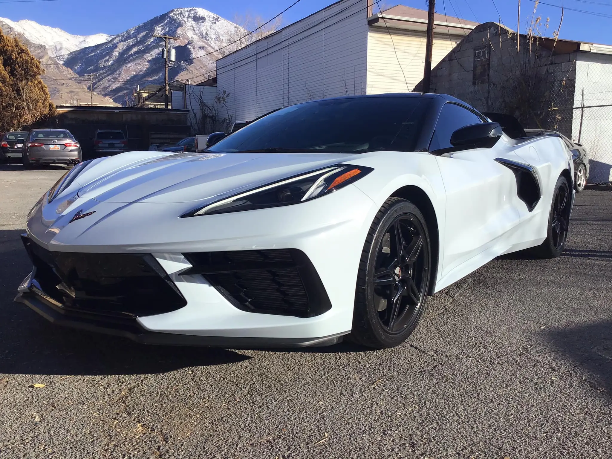 Corvette window tint
