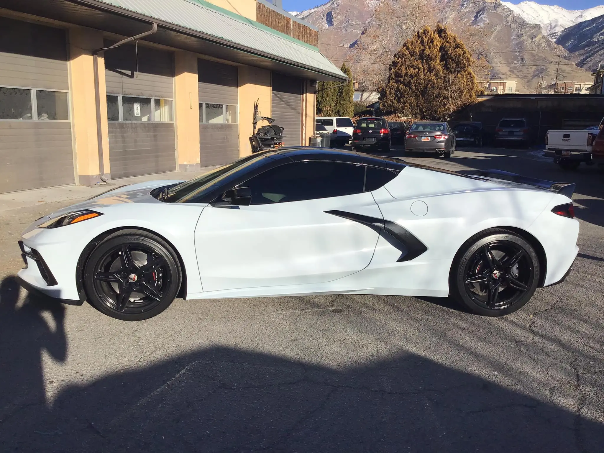 Corvette tint angle