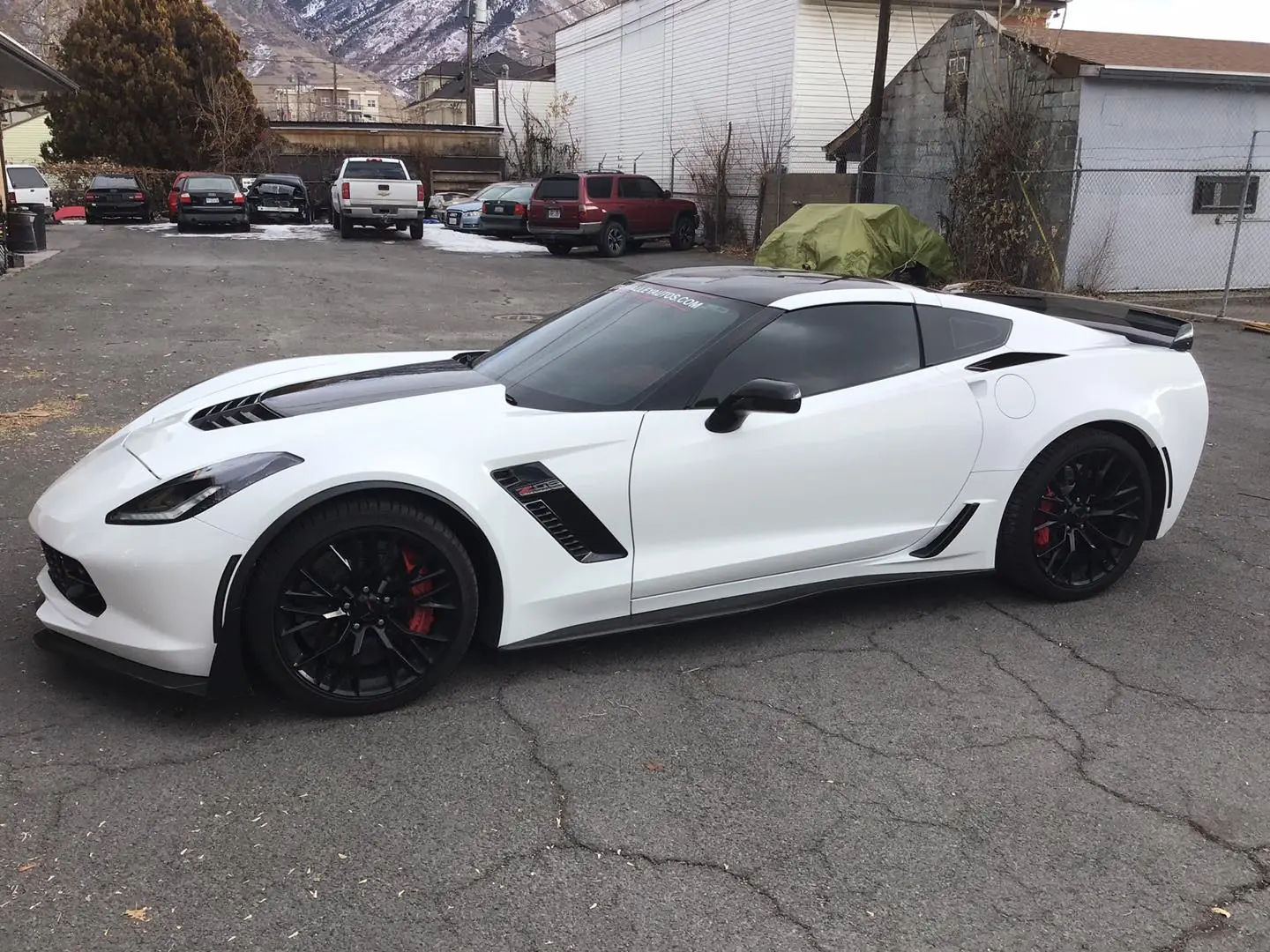 Stingray window tint