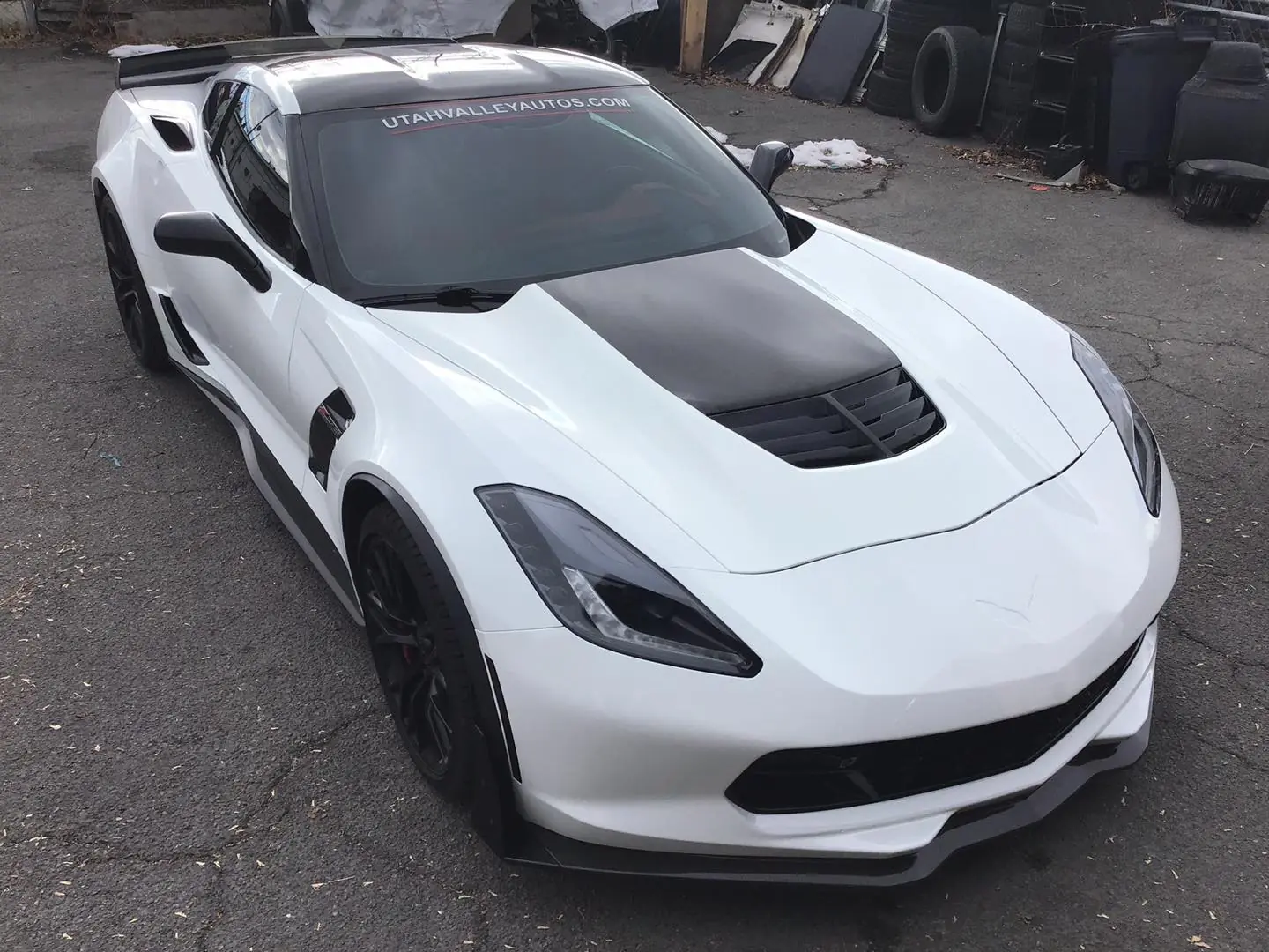 Stingray tint