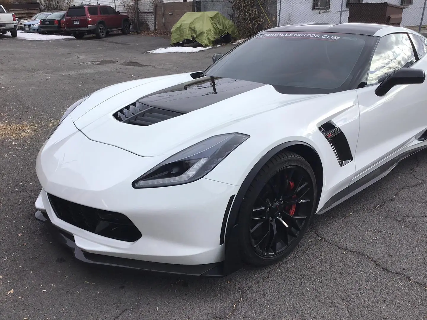 Stingray tint angle