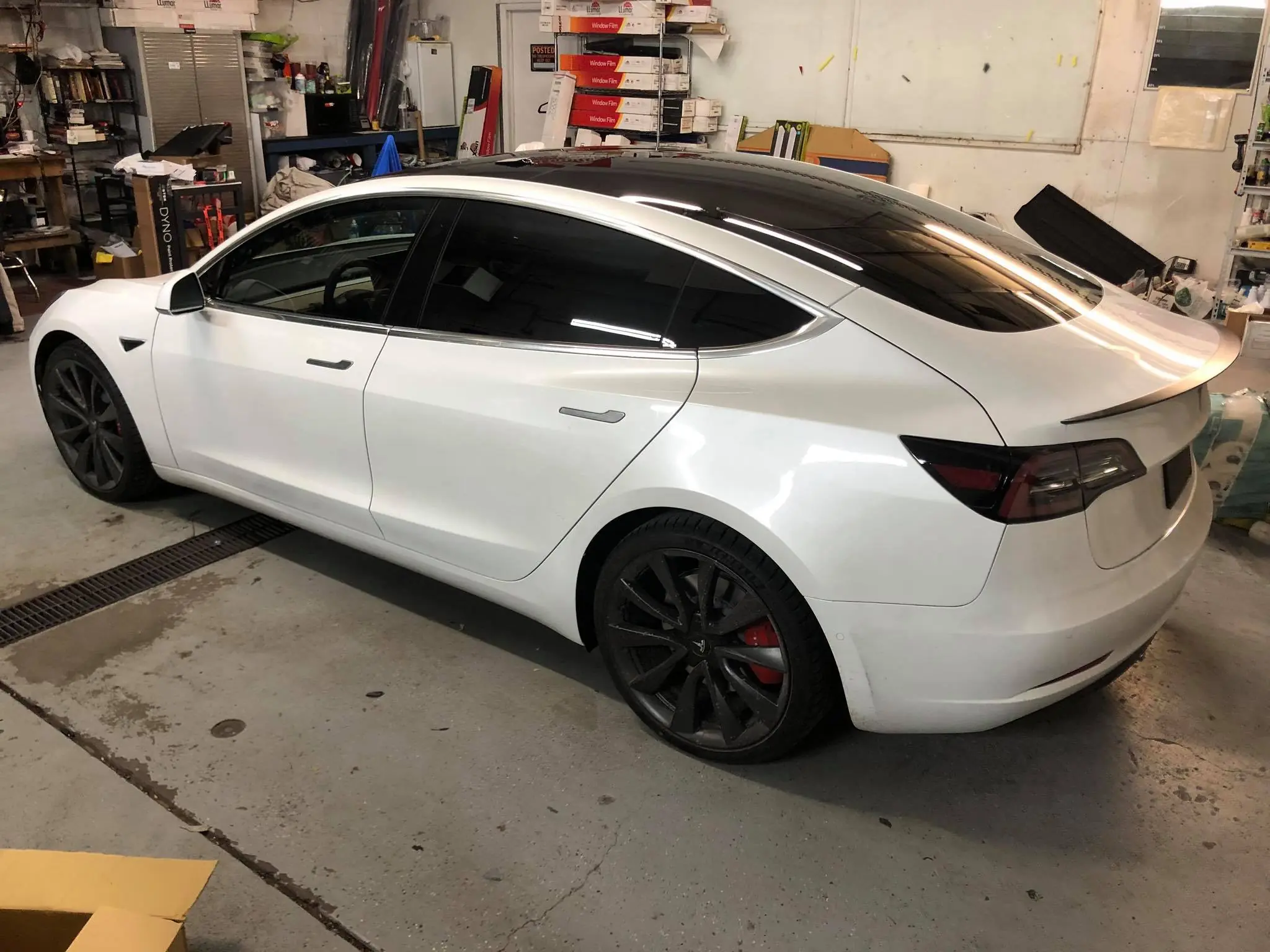 White Tesla tint