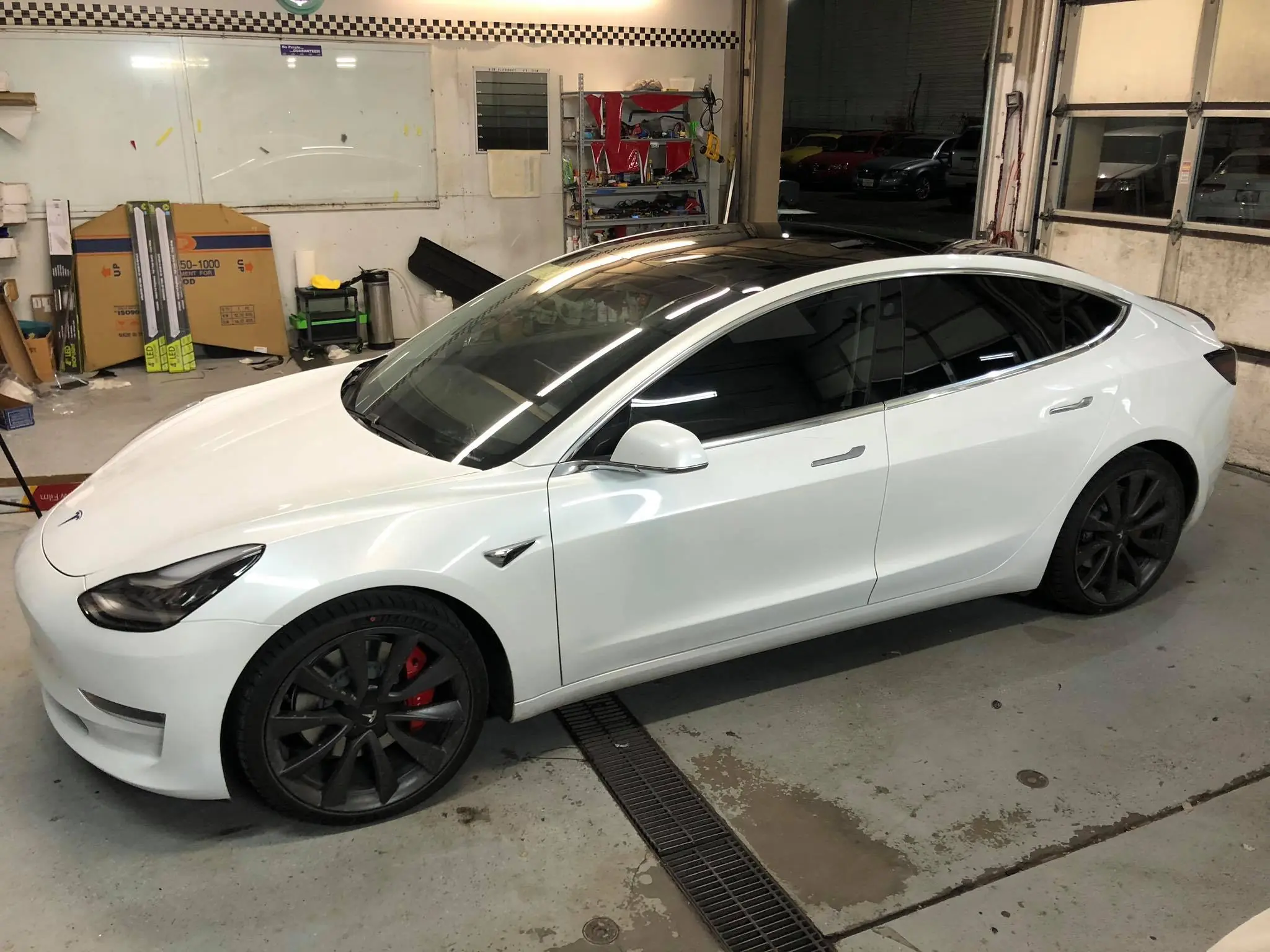 White Tesla tint