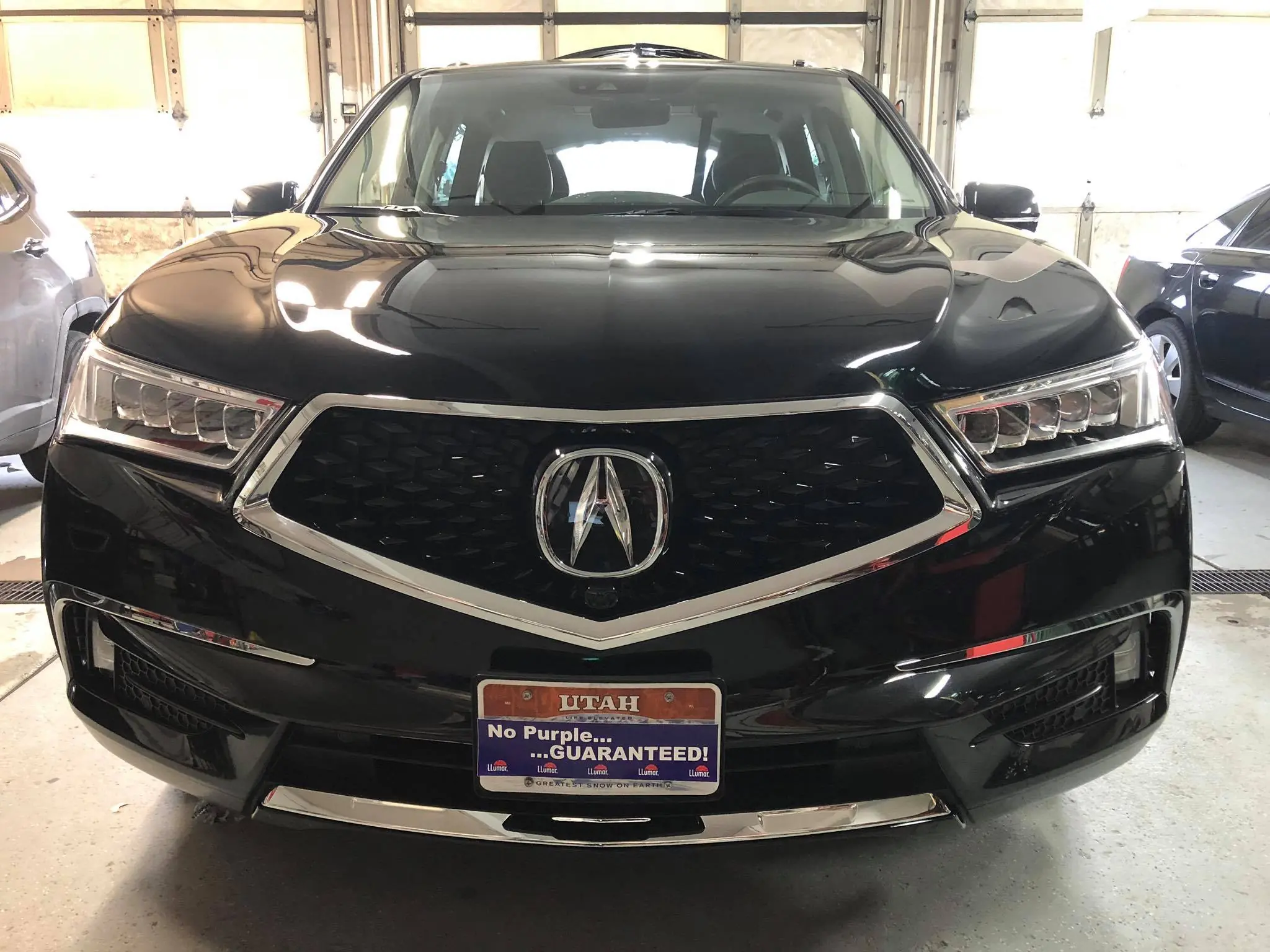 Acura paint protection