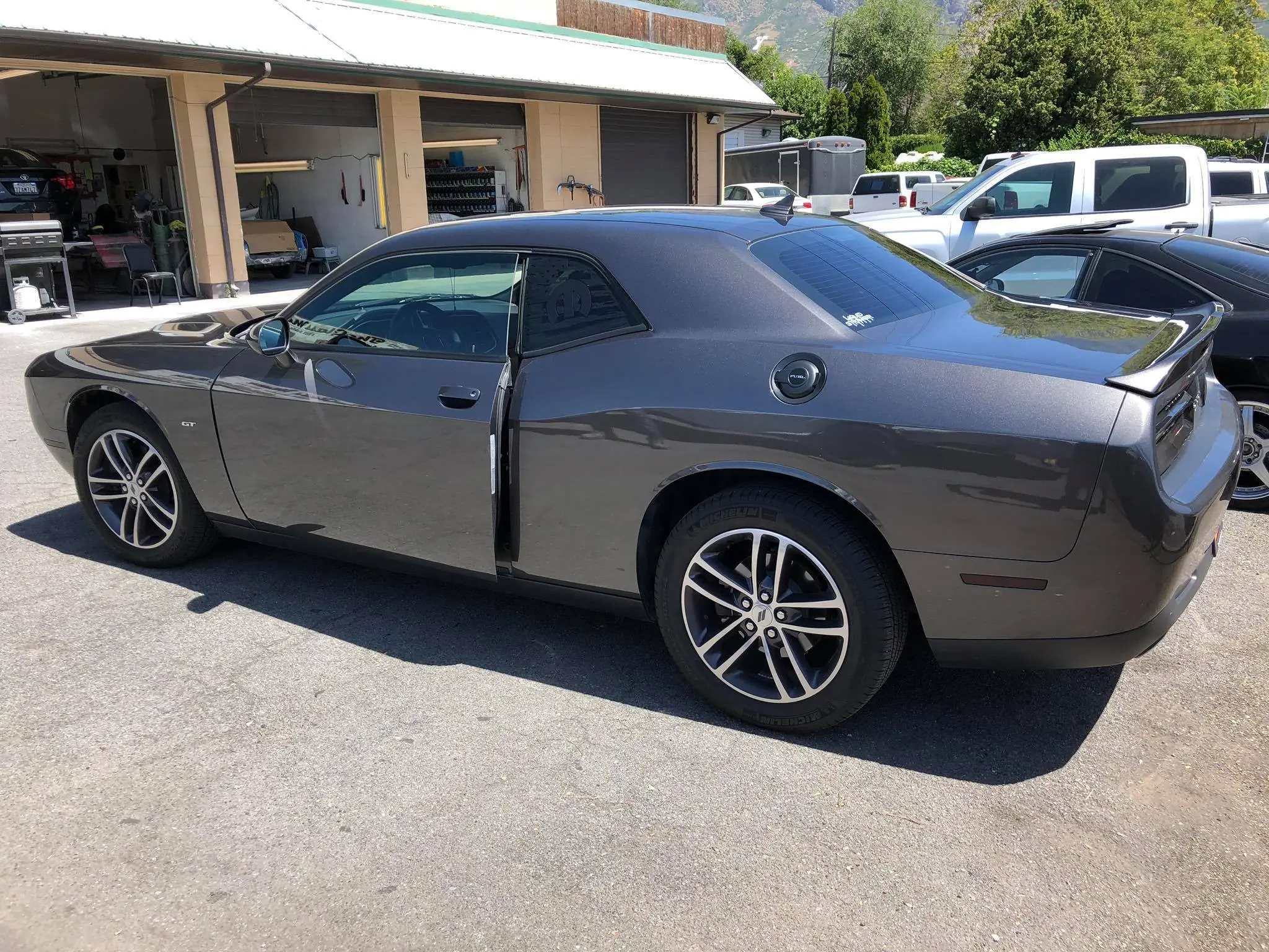 Challenger paint protection