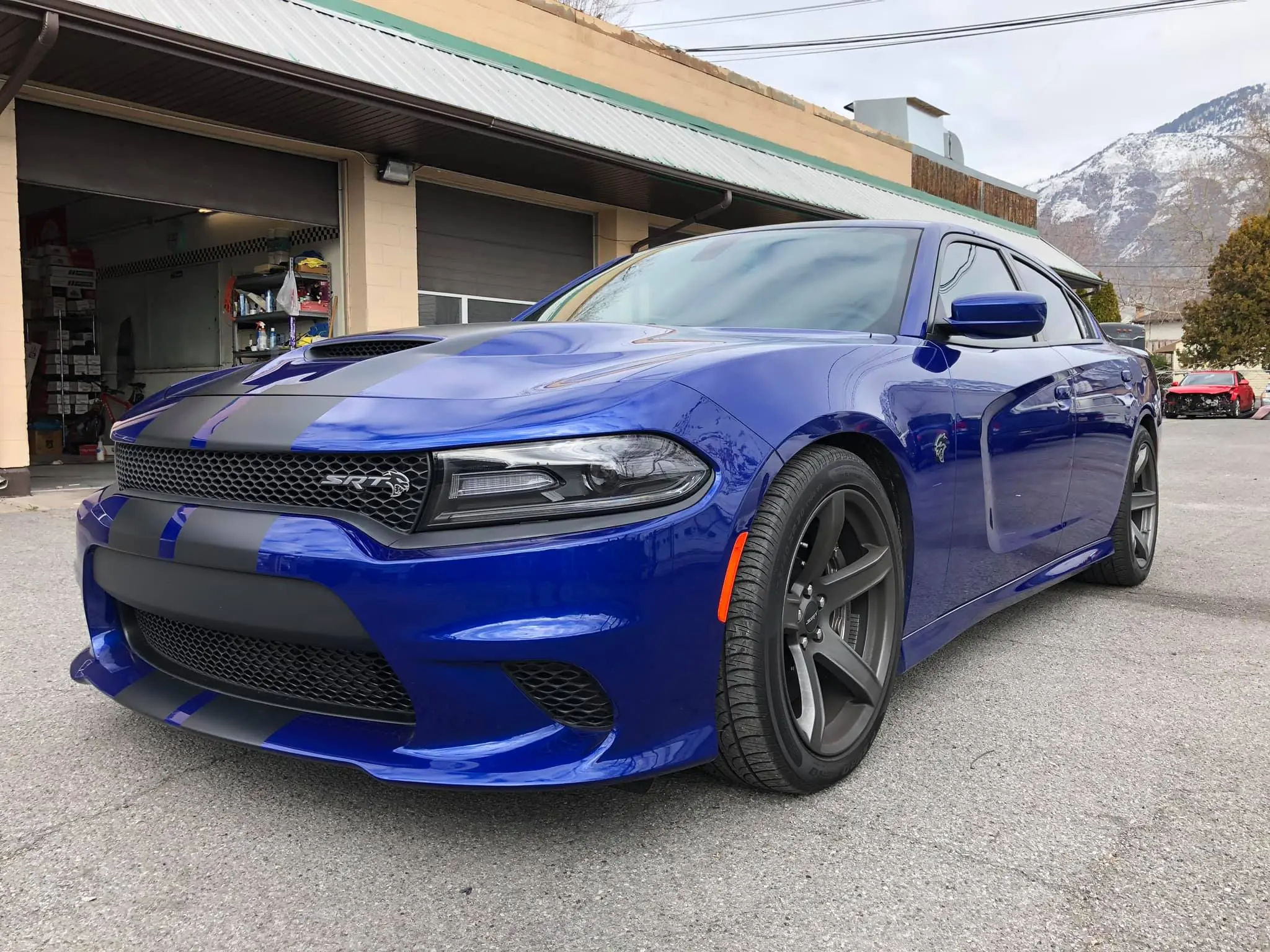 SRT paint protection